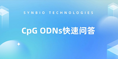 CpG ODNs快速問答