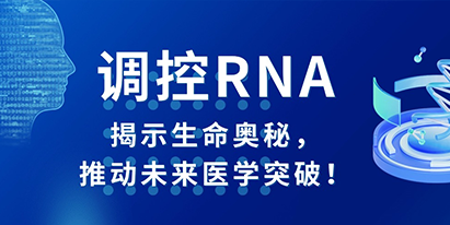 調(diào)控RNA：揭示生命奧秘，推動(dòng)未來(lái)醫(yī)學(xué)突破！