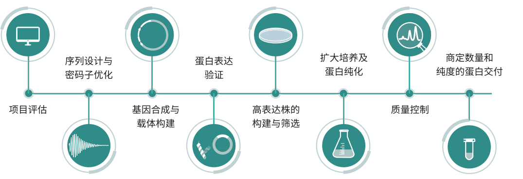 重組蛋白表達服務(wù)流程