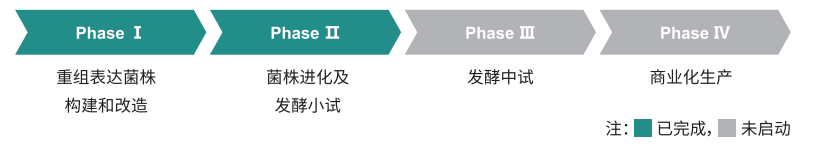 humanized type I collagen pichia pastoris strain