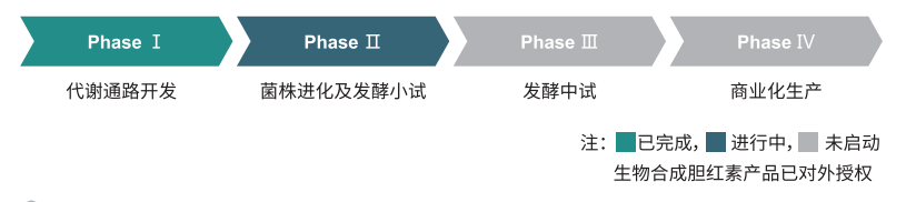 biosynthetic bilirubin research and development